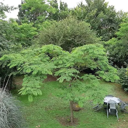 לינה וארוחת בוקר L'abri D'emilie - D'hotes 3*